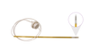 Follicular Aspiration System - Small Ruminants